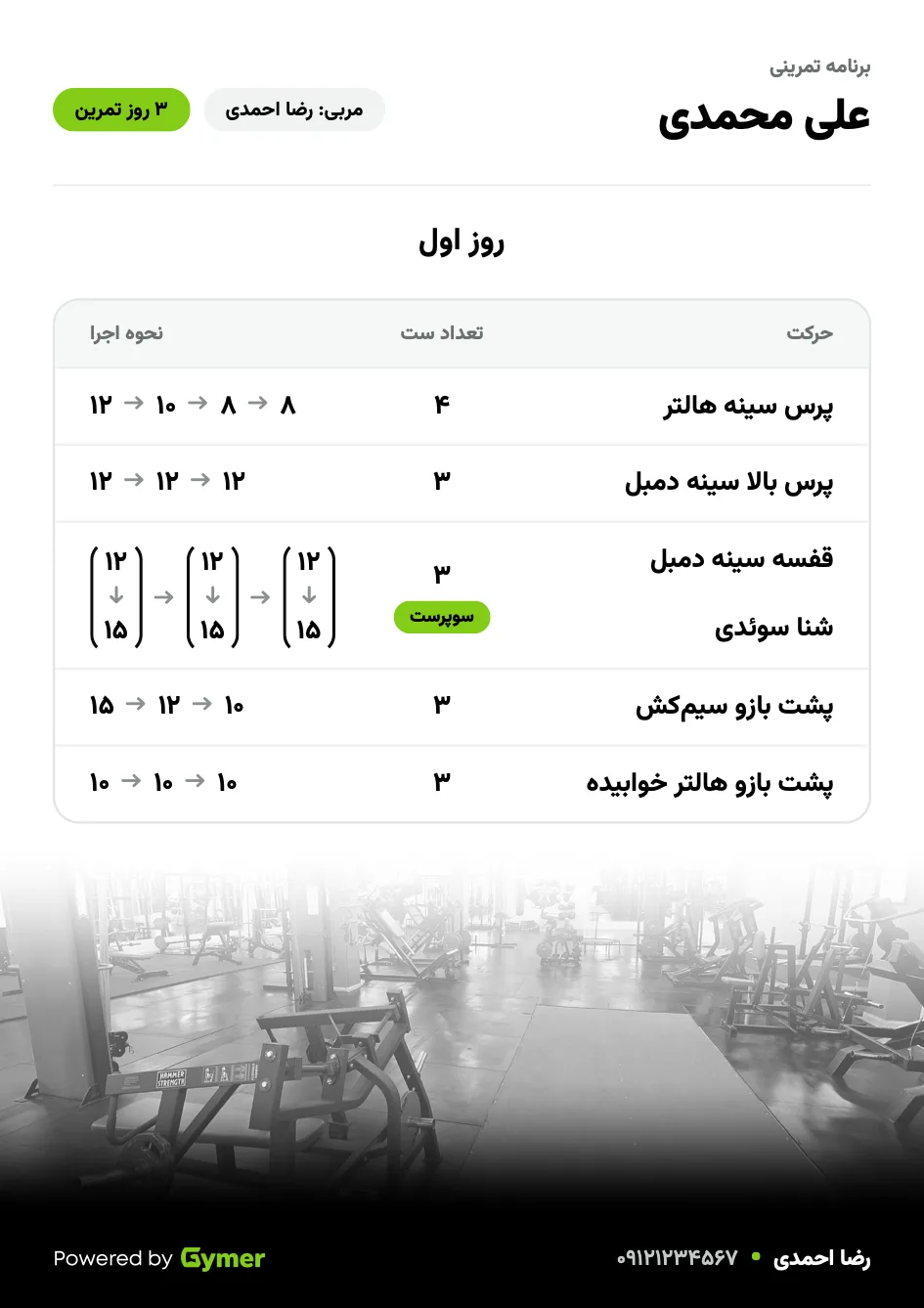 صفحه یک روز تمرین در نمونه برنامه PDF جیمر: حرکت‌ها، تعداد ست و تکرار هر ست